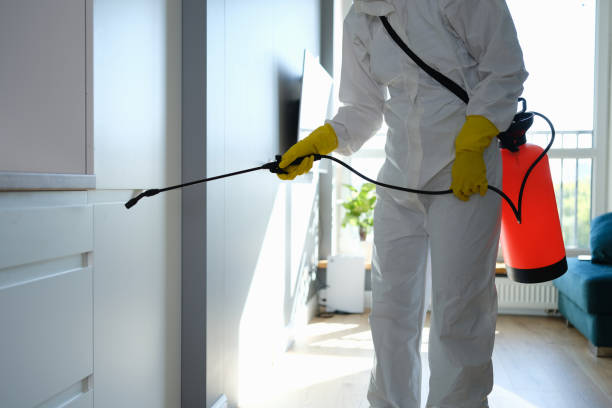 Professional Mold Removal in Oxford, PA