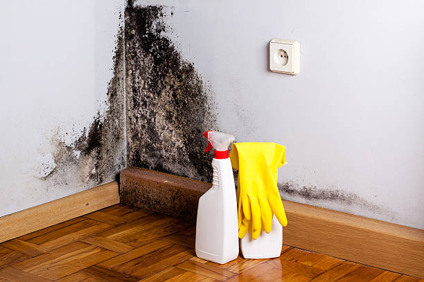 Crawl Space Mold Removal in Oxford, PA